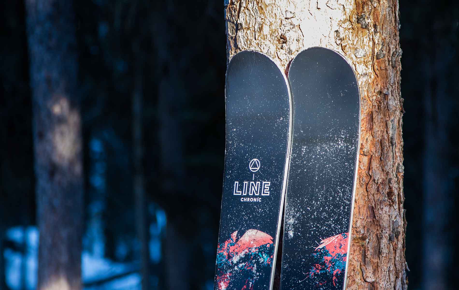 Skis sponsored by Freewheel Cycle