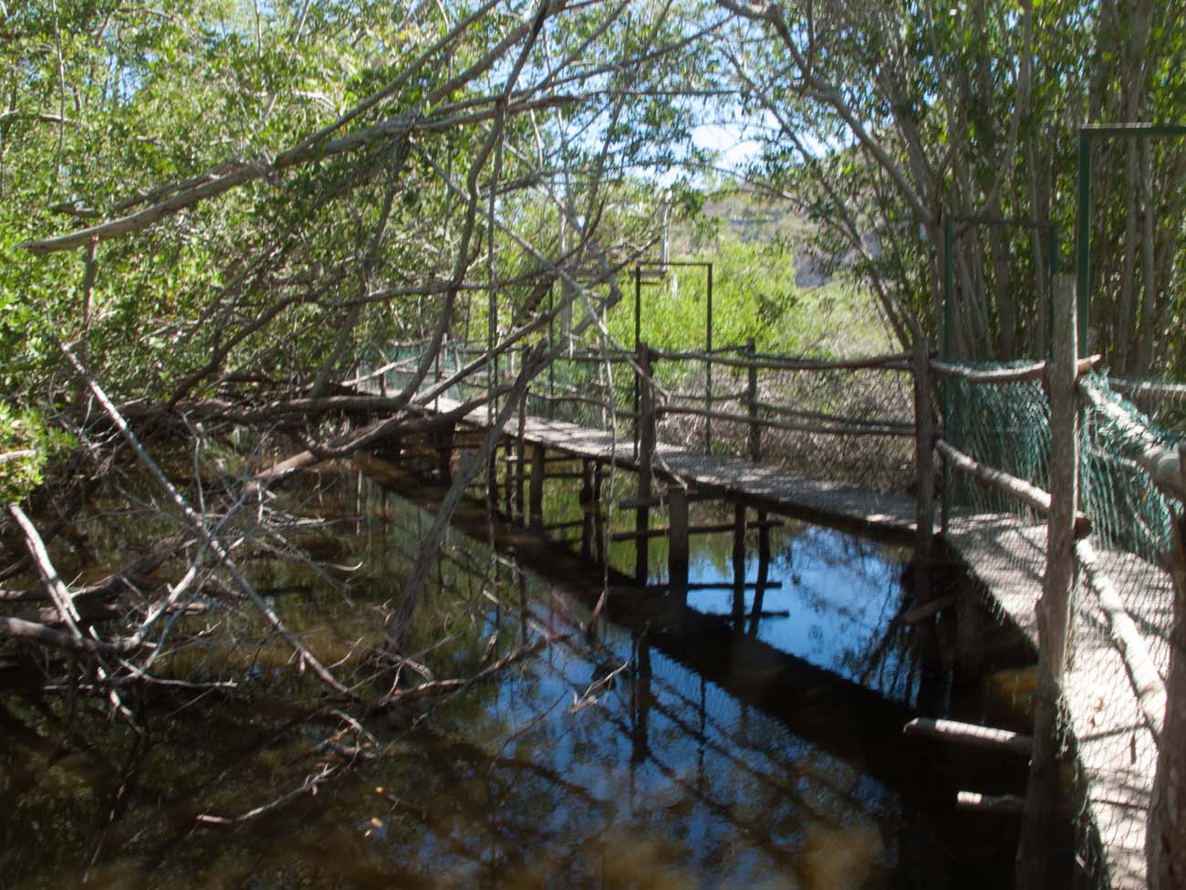 Bridges over the crocodile haven