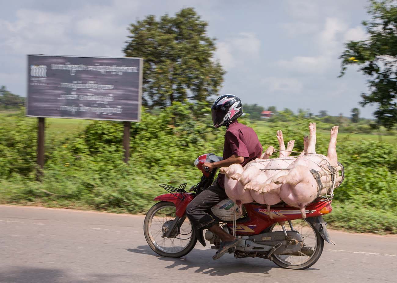 How transportation works